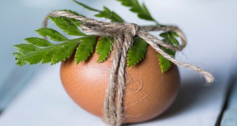 UN UOVO OGGI E UNA GALLINA DOMANI